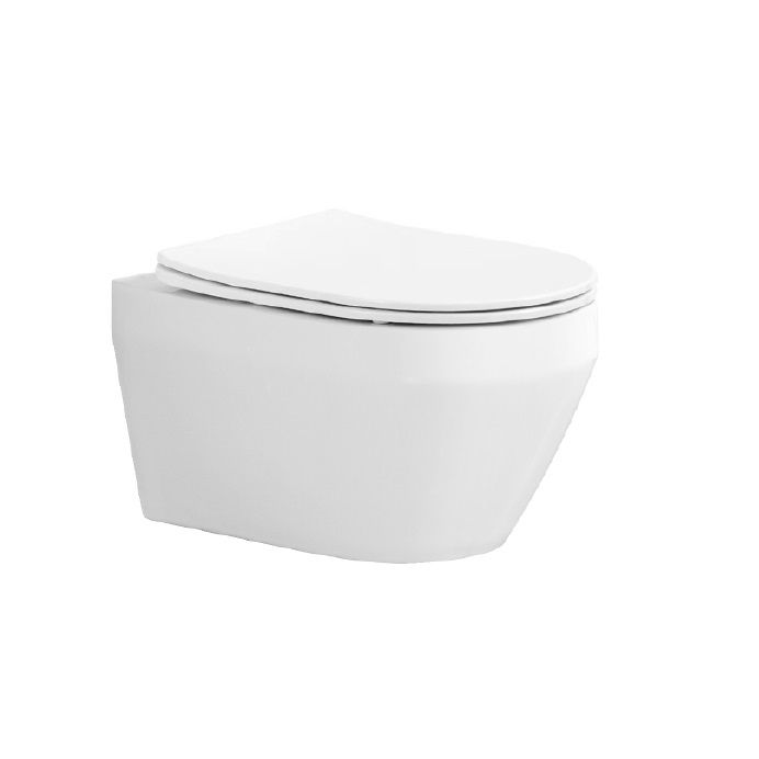 SET AQUATEK ЛЕЯ-013 4в1 (рама AQUATEK Standard INS-0000012+крепеж KKI-0000002+клавиша KDI-0000013+унитаз ЛЕЯ AQ1199-00 с тонким сиденьем soft-close)